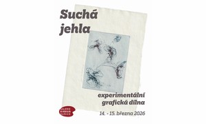 Suchá jehla - experimentální grafická dílna suché jehly s Lenkou Sýkorovou