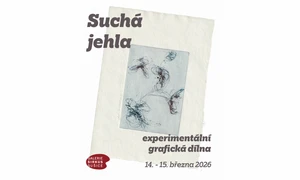 Suchá jehla - experimentální grafická dílna suché jehly s Lenkou Sýkorovou